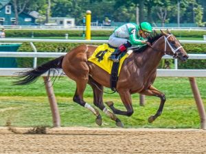 horse racing